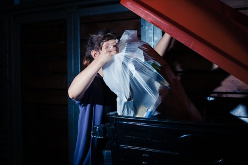 Different types of skips including mini, midi, and builders skips