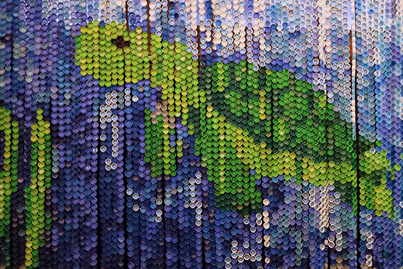 waste collection Junk removal